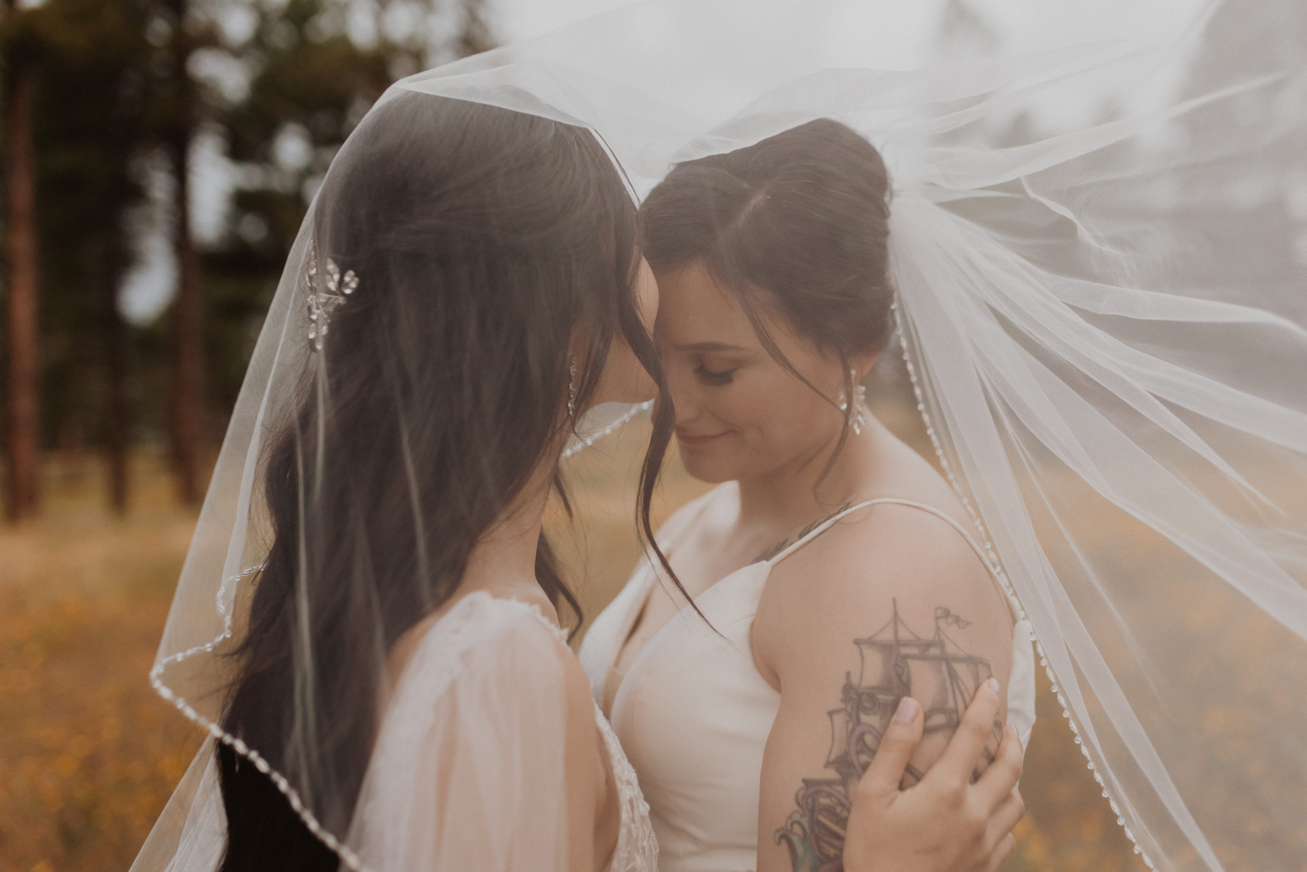 wedding veil photo inspiration