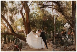 boojum tree weddings, phoenix arizona wedding venues, garden wedding venues