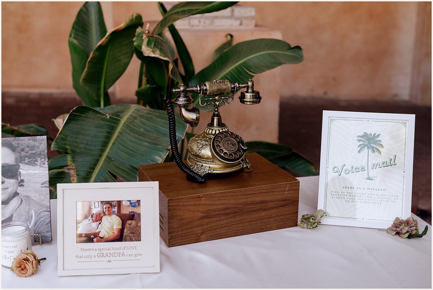 A telephone guestbook sits on a table beside a potted plant.