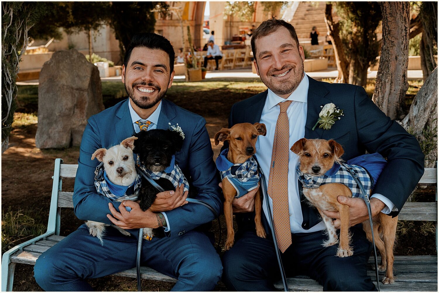 Two grooms pose with four small dogs.