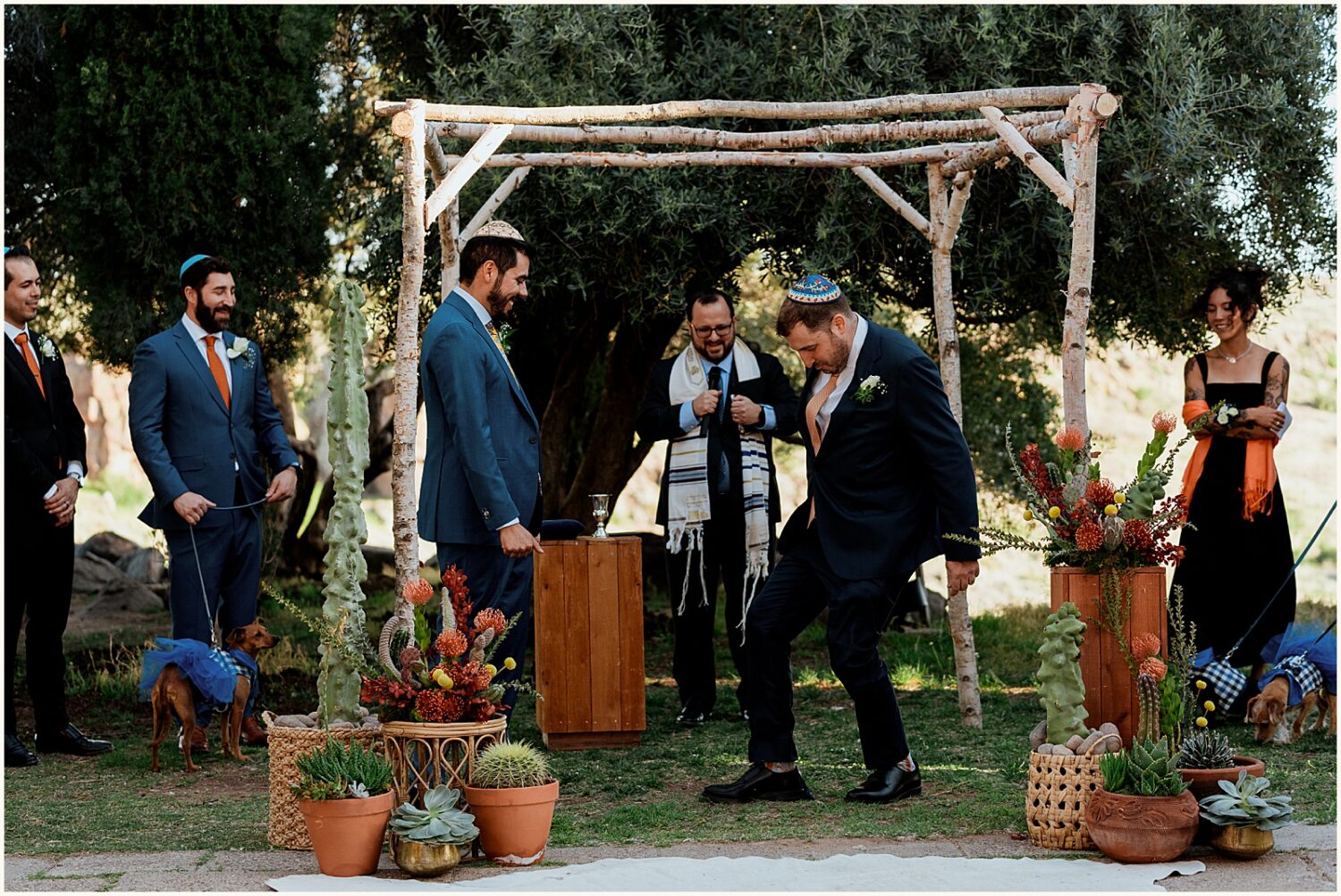 A groom steps on a glass under a chuppah.