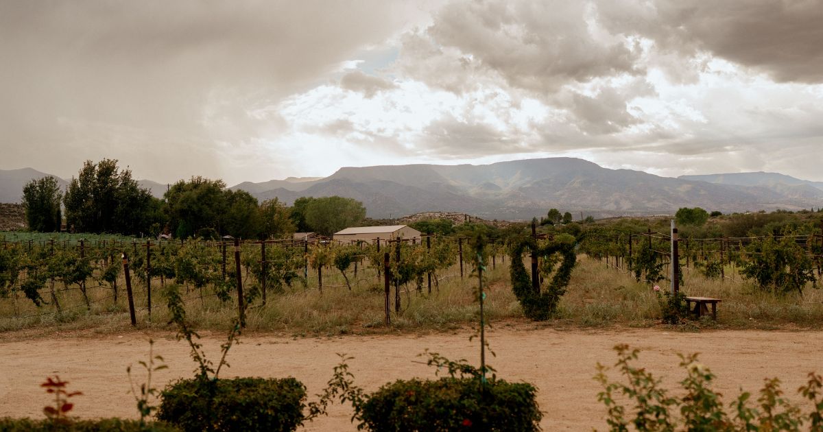 Landscape photo at Alcantara Vineyard & Winery in Cottonwood, Arizona